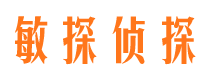 昭平市私家侦探